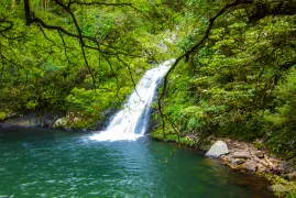 Longtan Scenic Area