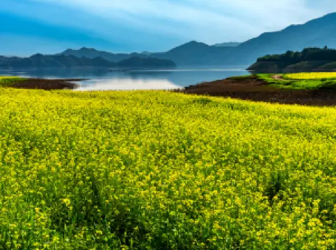 หมู่บ้านกรีนเจียง