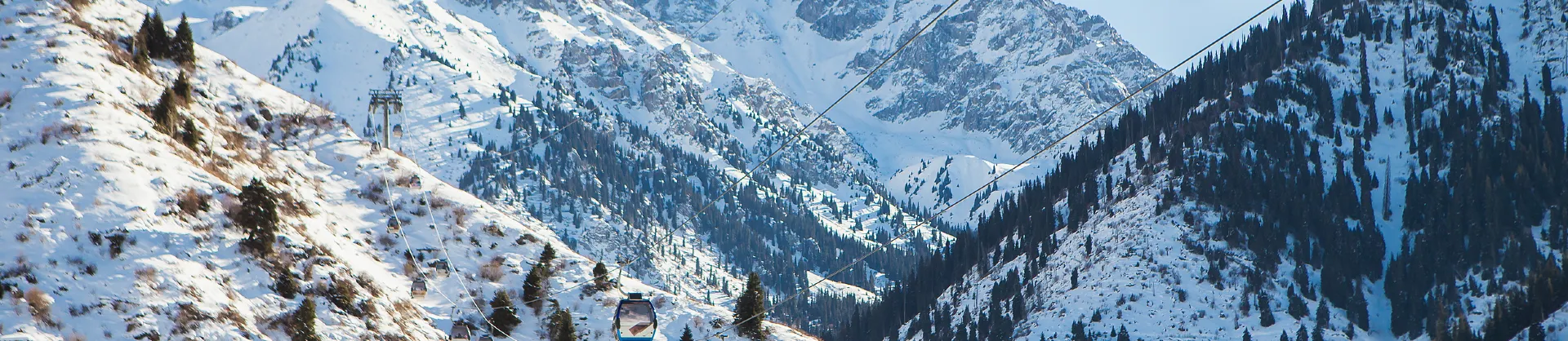 Ski