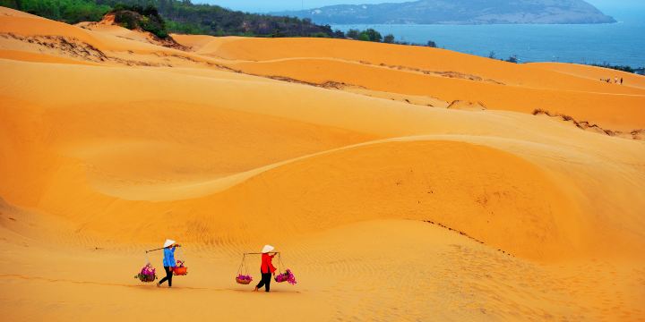 Red Sand Dunes