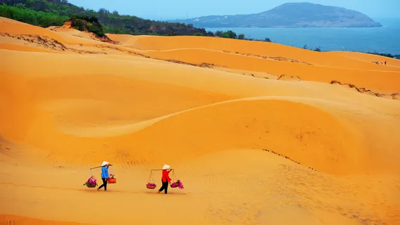 Red Sand Dunes