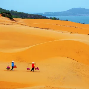 도이깟더