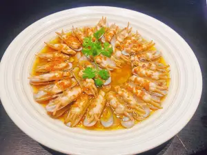 新阳光