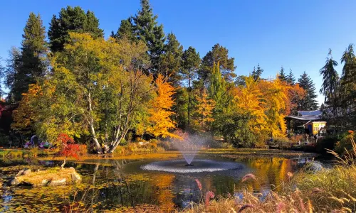 VanDusen Botanical Garden