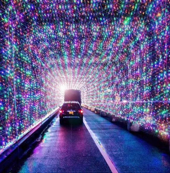 Magic of Lights in Ottawa | Ottawa