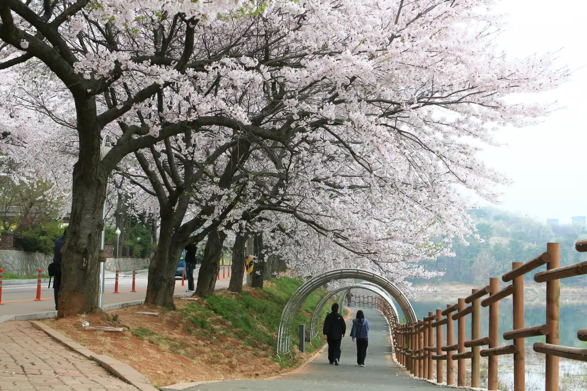 Eunpa Lake Park