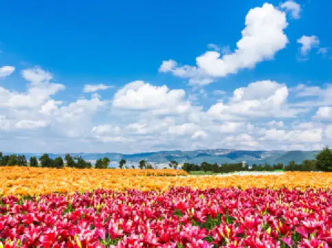 태평호 삼림공원