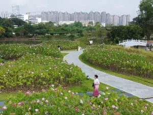 สวนพฤกษศาสตร์เภสัชกรรมในกวางสี