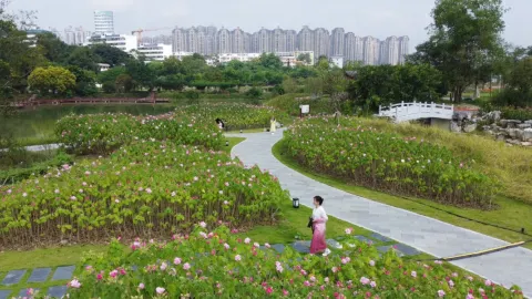 Guangxi Botanical Garden of Medicinal Plants attraction in Nanning