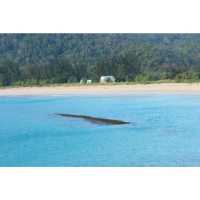 Pulo Aceh