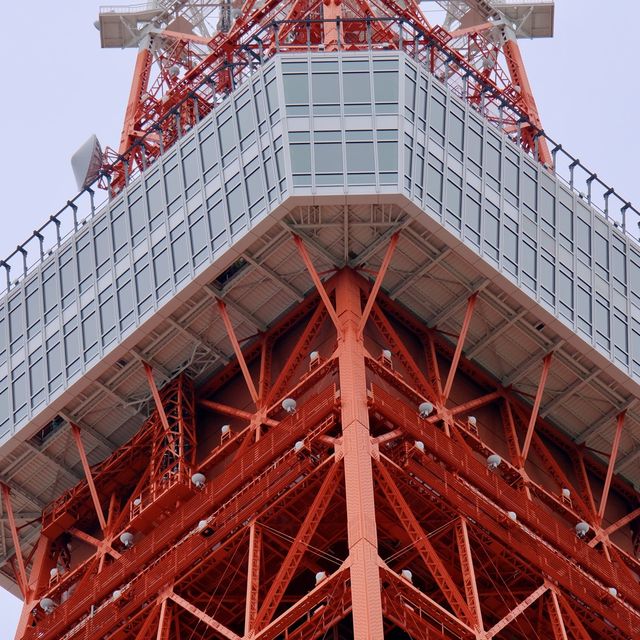 新緑の東京タワー