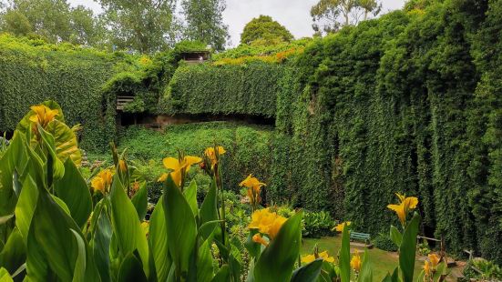 推薦👍洞穴花園，從頂部的觀景平台俯瞰它的全景，然後沿着露台