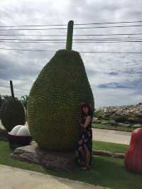Model of Fruits