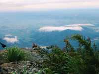 Hiking and camping day