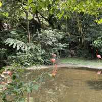 Kadoorie Farm