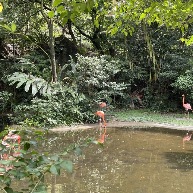 Kadoorie Farm