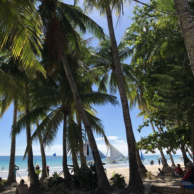 Borcacst Island