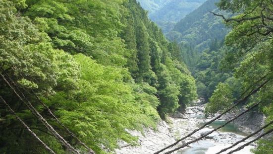 Iya Kazura Bridge Photos Photos Of Miyoshi Attractions Trip Moments Iya Kazura Bridge Photos Photos Of Miyoshi Attractions Trip Moments