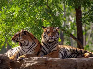 秦皇島野生動物園