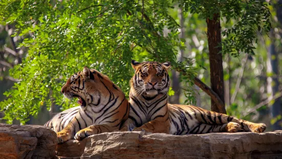 秦皇島野生動物園