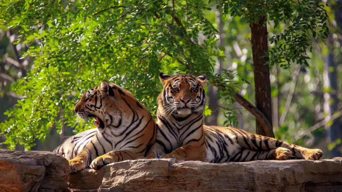Hotels near Qinhuangdao Safari Park
