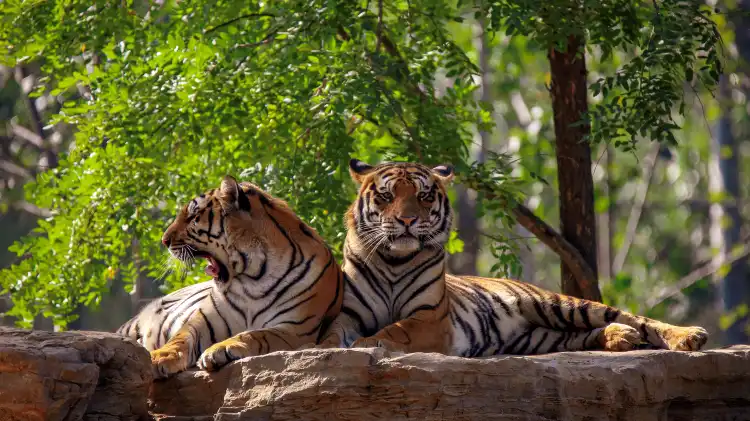 Hotels near Qinhuangdao Safari Park