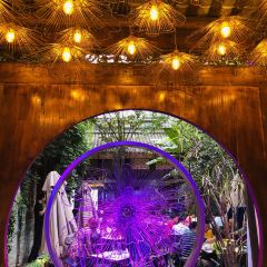 TING XIANG User Photo