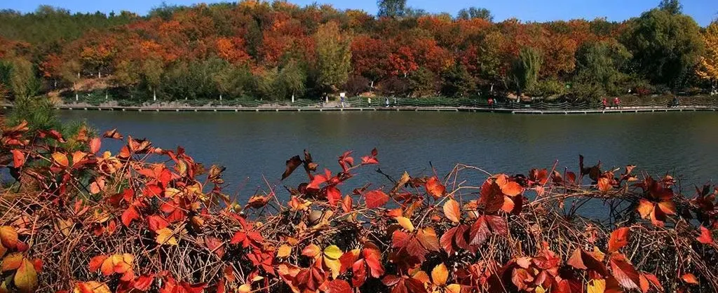 Fall Viewing Attractions