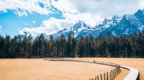 雲杉坪