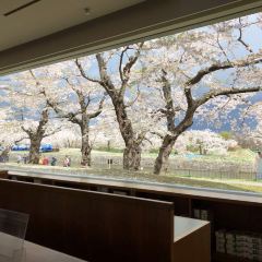 Liuhuating (wulengguo) User Photo