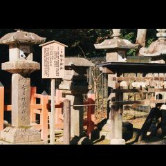 Kasuga Ninai Jyaya User Photo