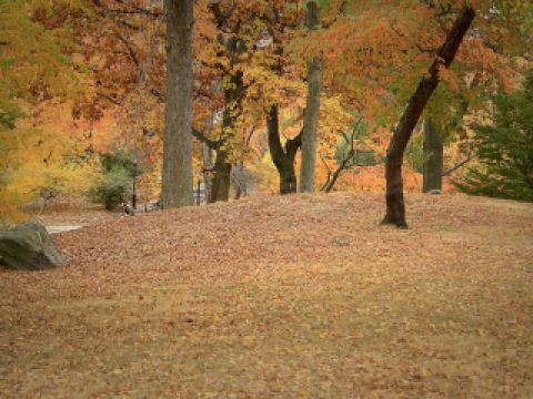 해인사 근처 호텔