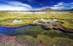 新疆帕米爾高原阿拉爾國家濕地公園