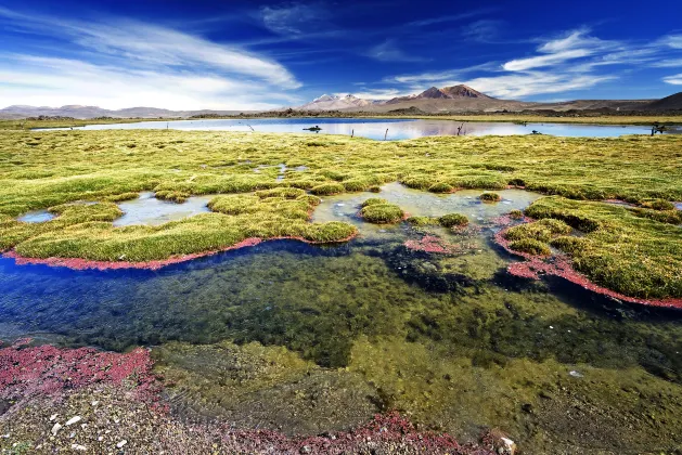 Разрешено размещения с домашними животными Отели в г. Ташкурган