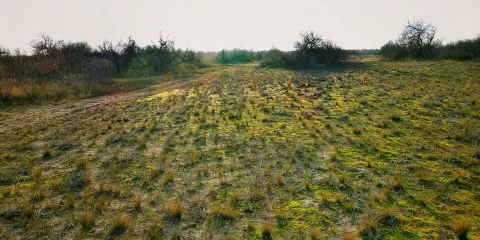 鶉野飛行場跡地