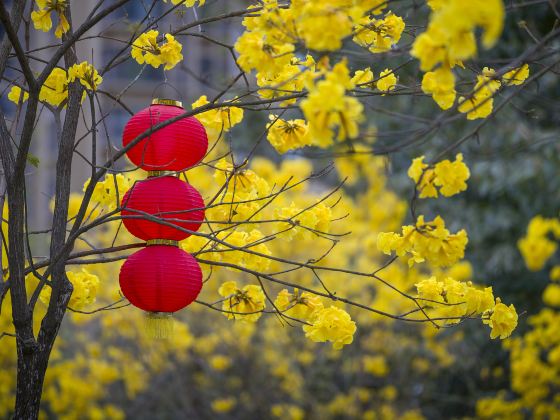 廣東韶關芙蓉山國家礦山公園