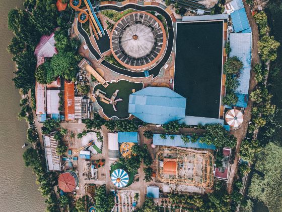 淘氣貓遊樂園