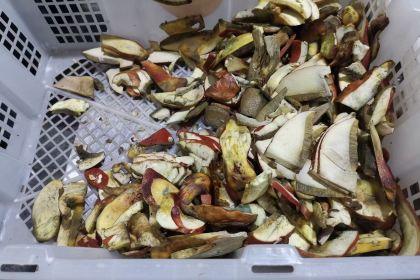 寻常宴野生菌火锅