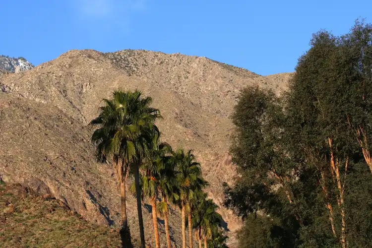 Desert Hot Springs