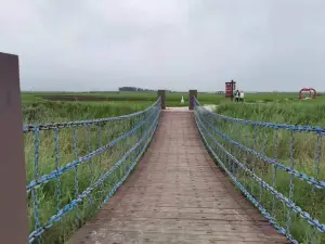 “水城公尺倉”稻田畫景區