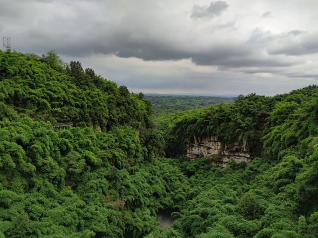 Bamboo Canyon Scenic Area (Jinji Valley)