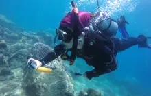 Aegean Conifer Suites Resort Sanya