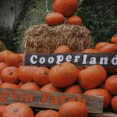 Cooperland User Photo