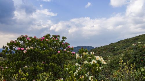 Yingwu Mountain