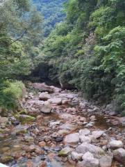 샤오자산/소자산 국가삼림공원 타오화구 관광지구