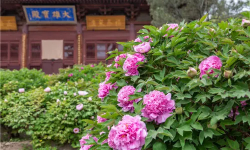 Jinci Museum