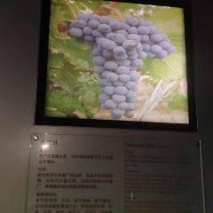 龙谕酒庄·餐饮部 User Photo