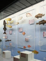 Busan Marine Natural History Museum