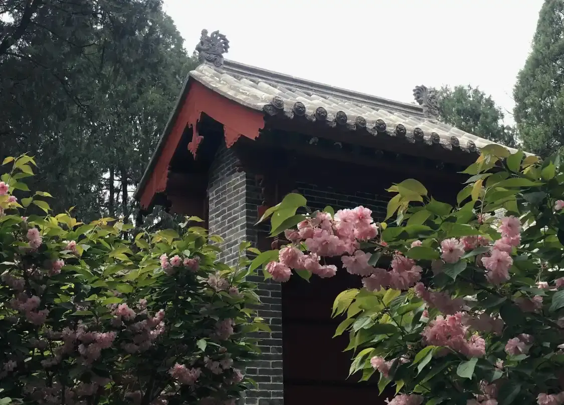 永樂宮-古魏城遺址附近的飯店