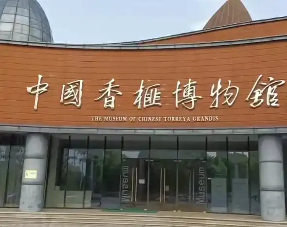 Hotels near Zhongguoxiangfei Museum